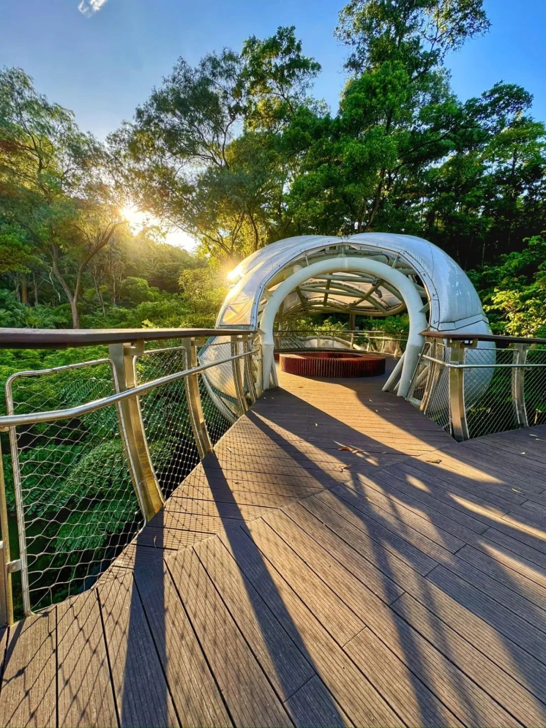 广州云萝植物园丨中国广州丨广州普邦园林股份有限公司-31