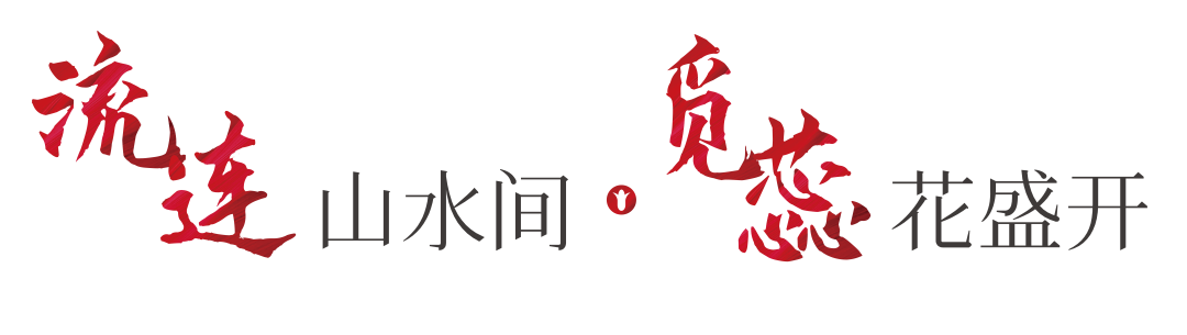 开门纳客丨东进新启航·木棉正当红-34
