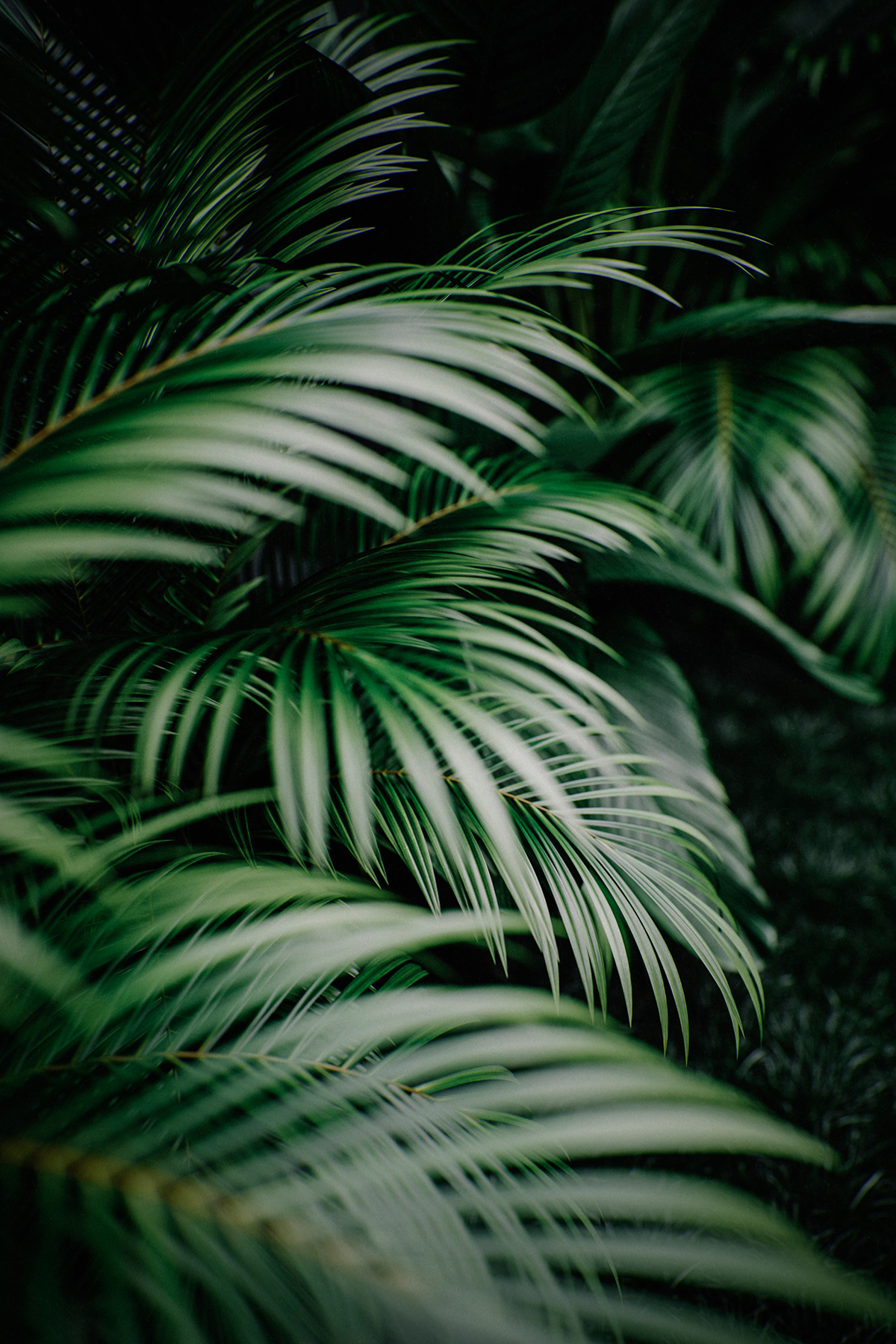 蒂比达沃别墅-6