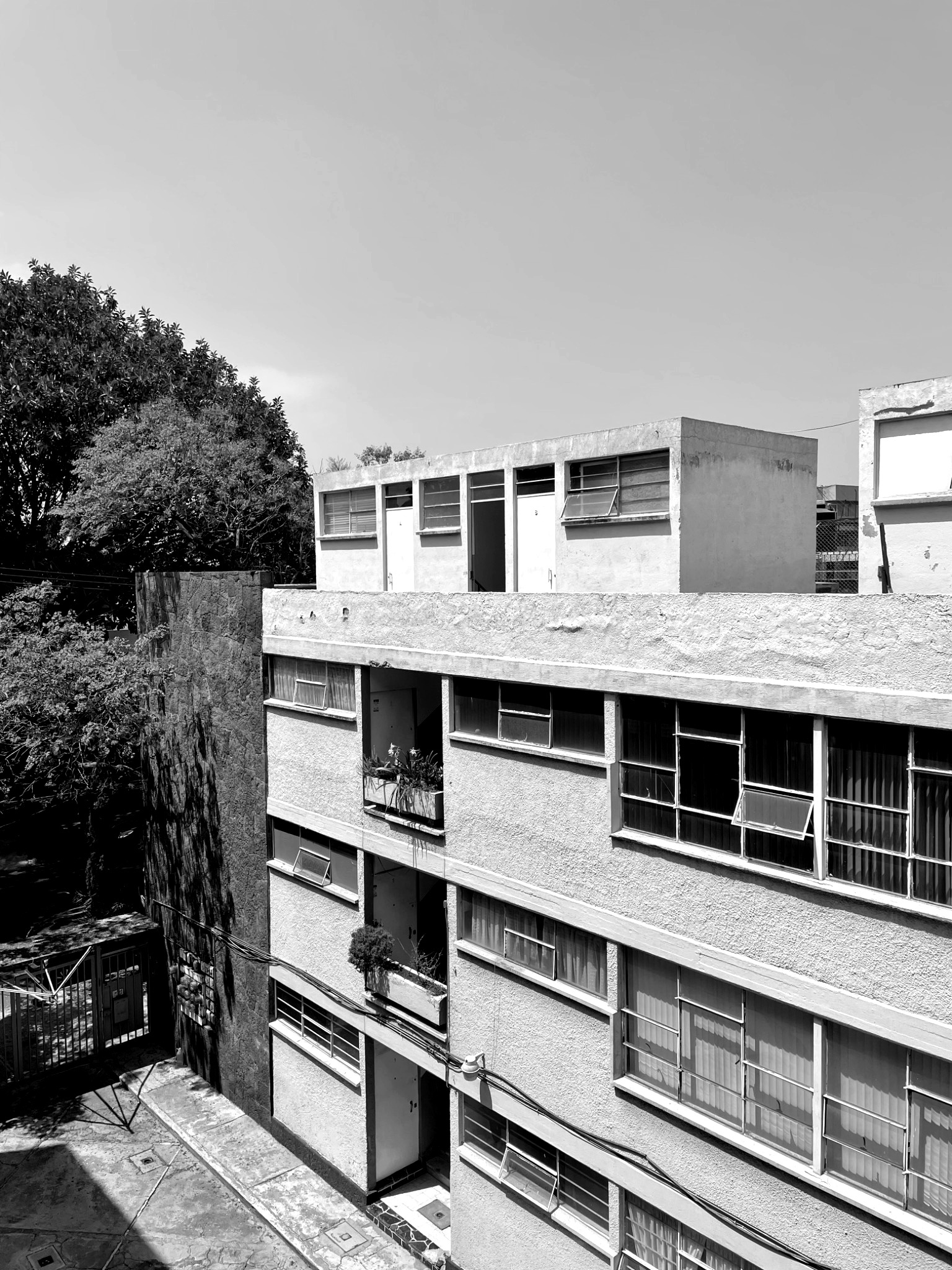 佩滕，兰斯502号丨墨西哥墨西哥城-39