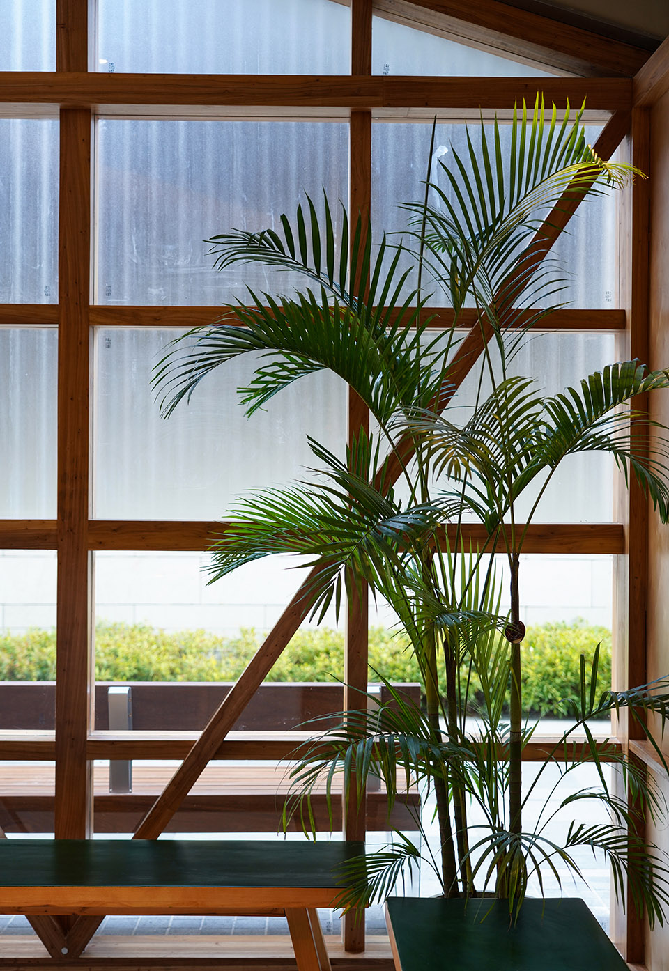 一石二鸟软饼干丨中国苏州丨徽宗设计研究室-31