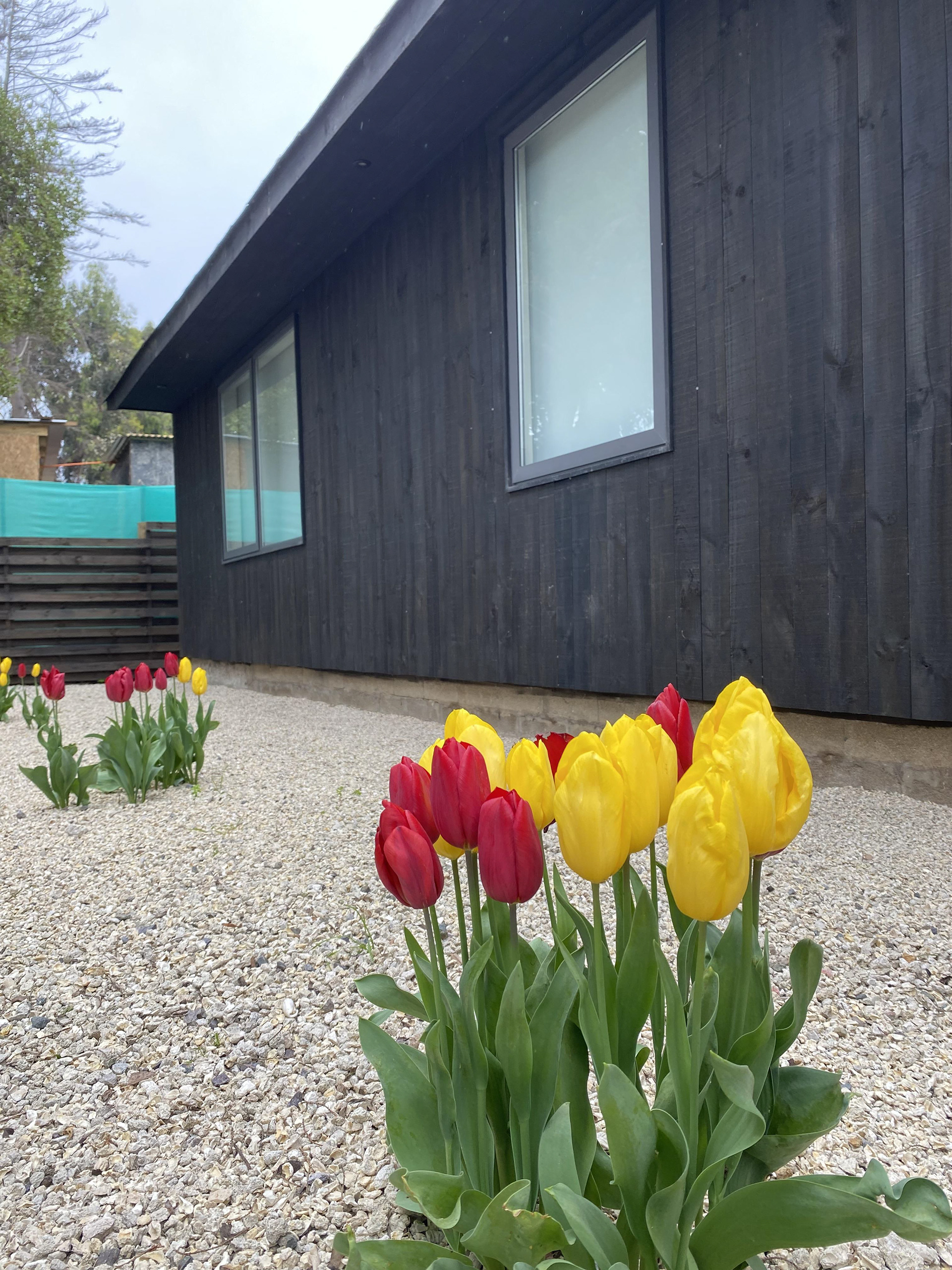 JB之家（注：由于Casa常见意为房子、家 ，JB可能是人名等特定名称，这里按常见理解翻译） 丨Chile-12