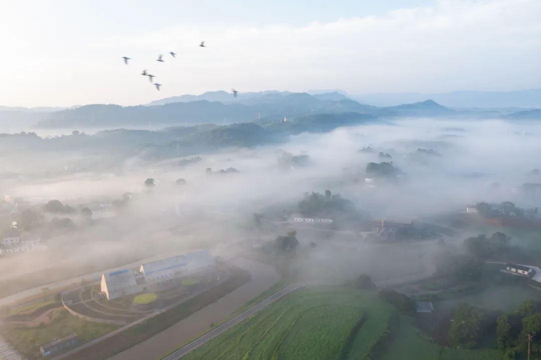 江小白的一亩三分地丨中国重庆丨未韬建筑设计事务所-324