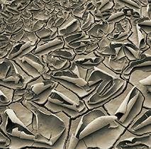 阿布扎比 Al Fayah 公园-9