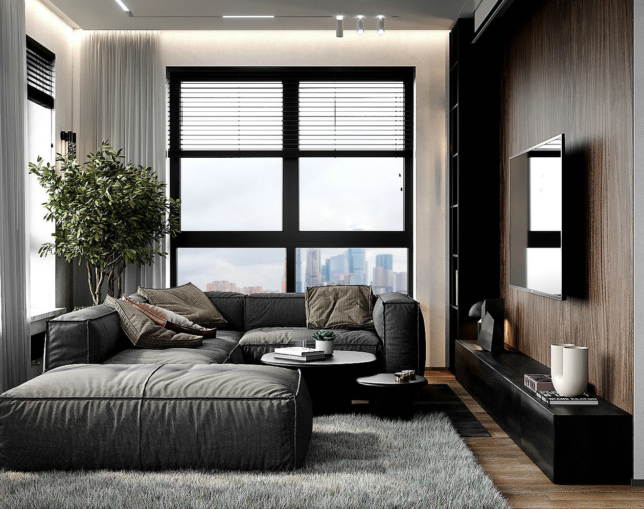 深色系小空间公寓设计-1