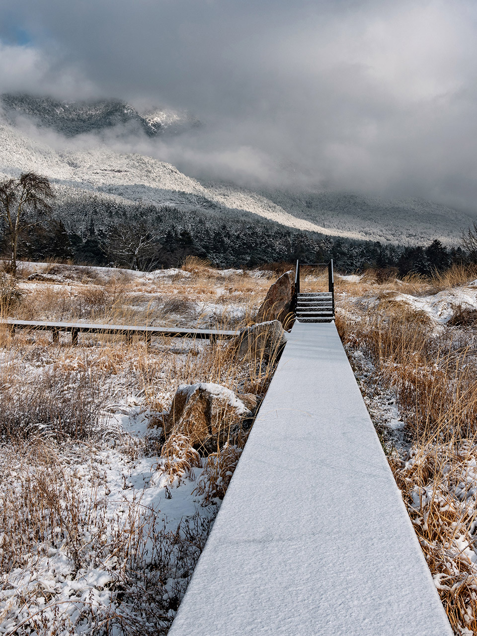 荒野花园和草甸剧场丨中国白沙丨Z’scape致舍景观-36