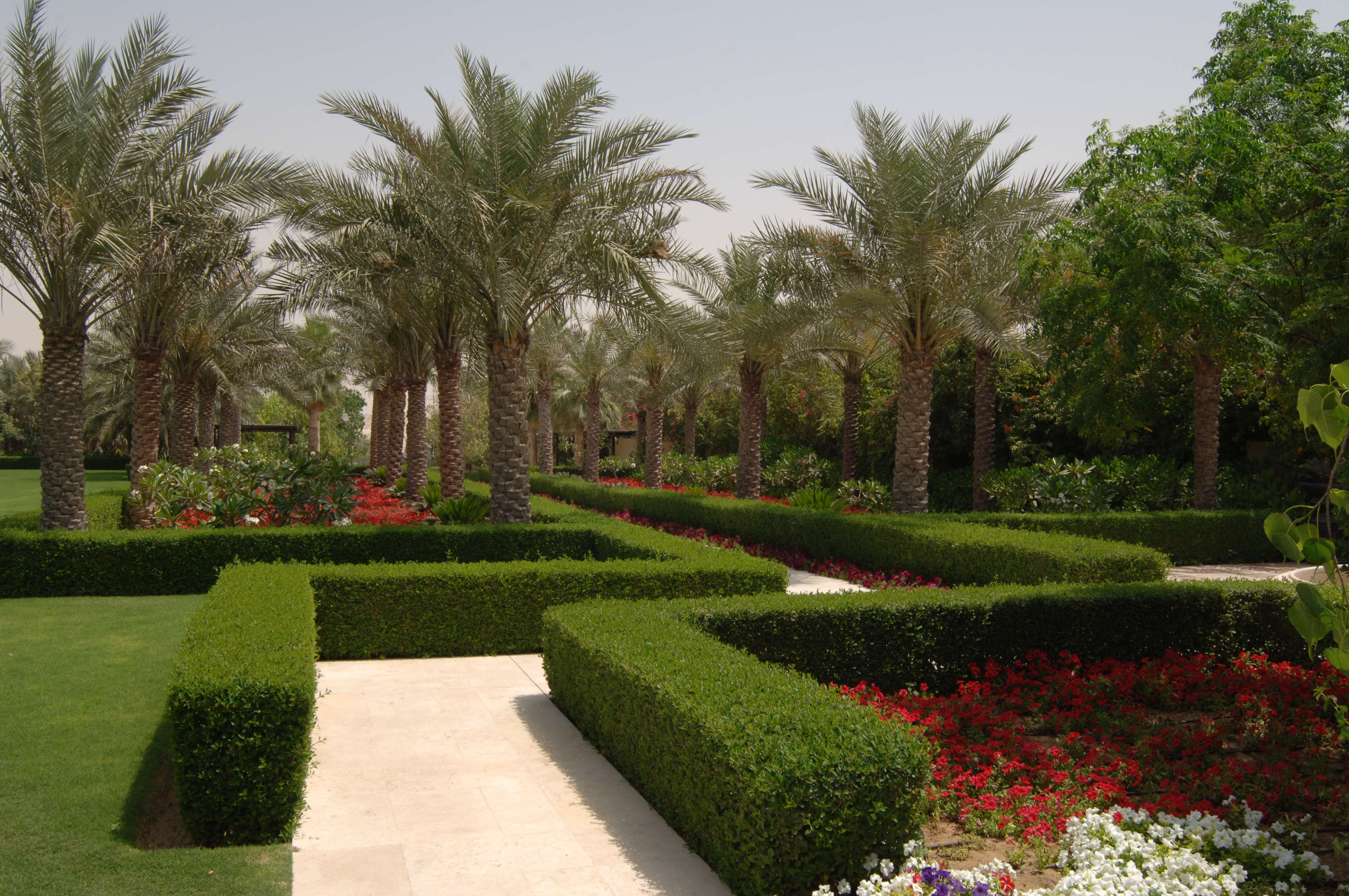 迪拜沙漠棕榈疗养度假酒店-6