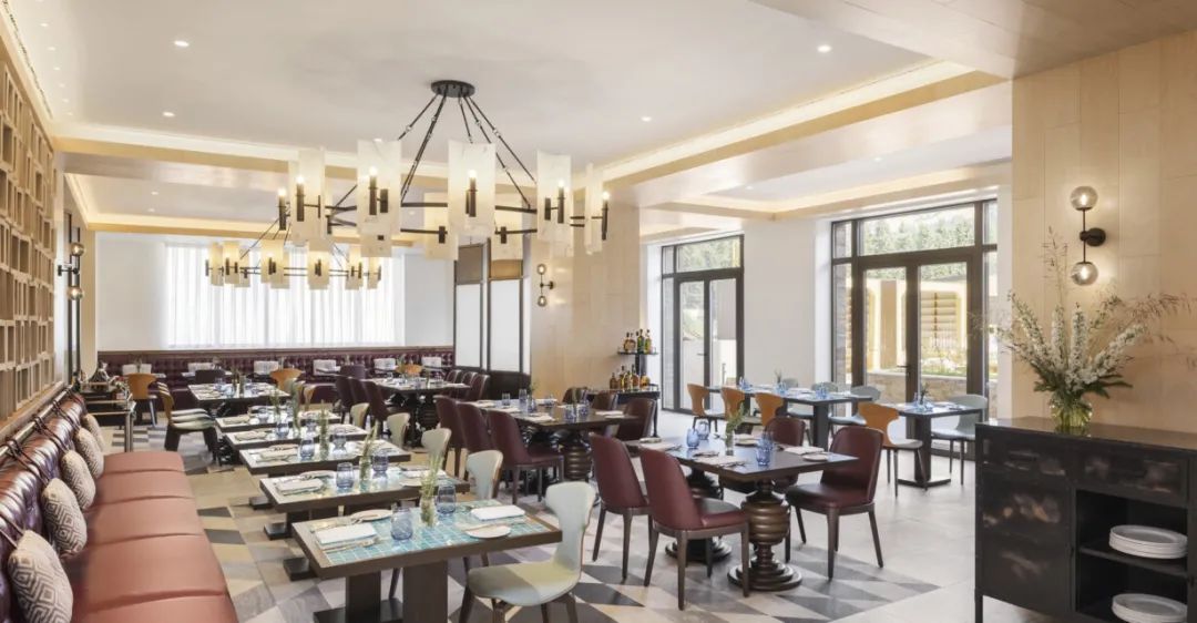 塞尔维亚卡科帕奥尼卡 Viceroy 酒店丨WATG 和 Wimberly Interiors-11