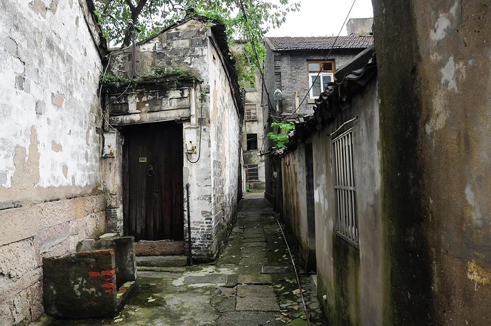 阳明古镇丨角马设计-21