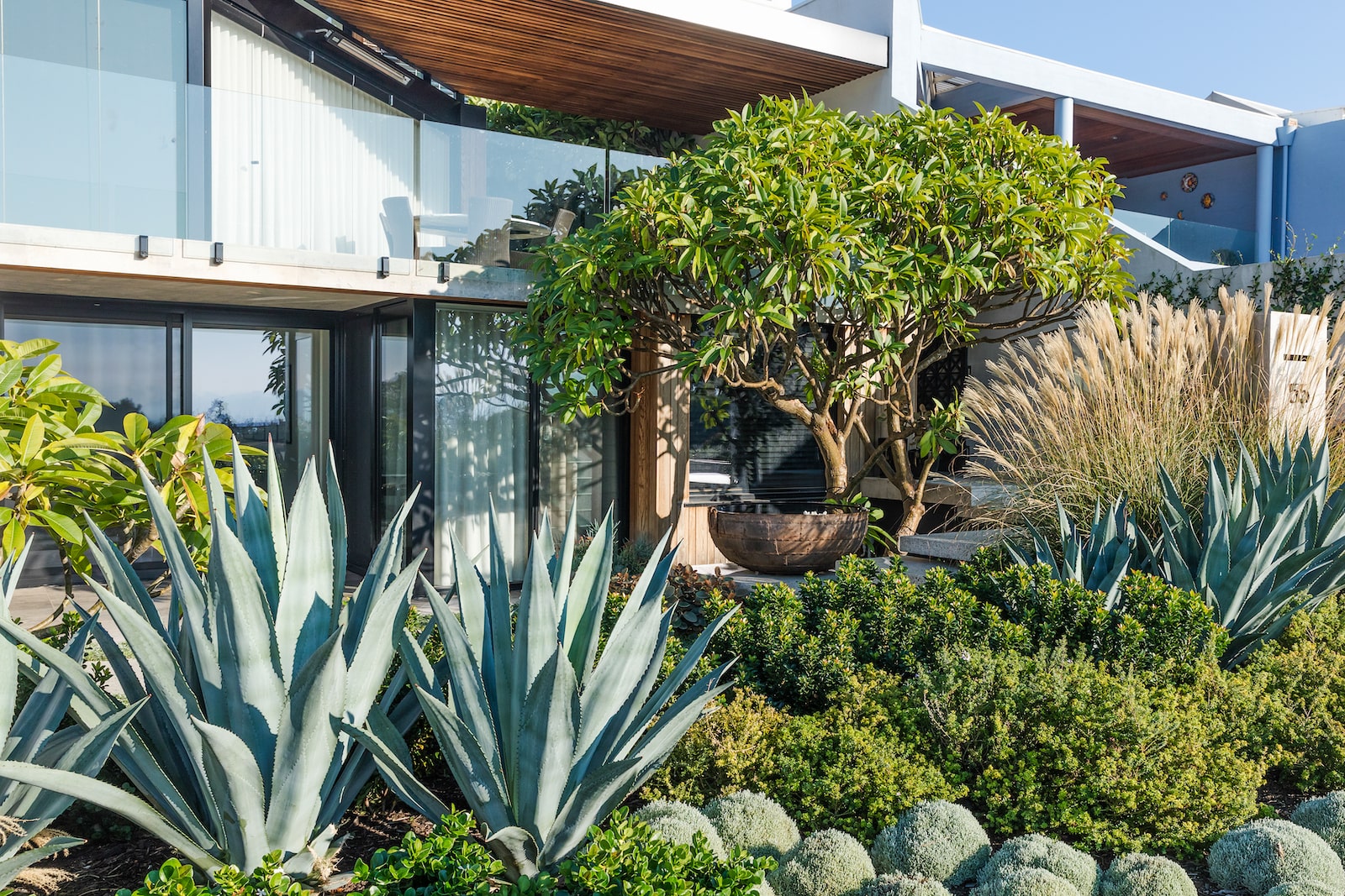 Floreat景观,Vodka Palace景观,小空间景观丨Tim Davies Landscaping-29