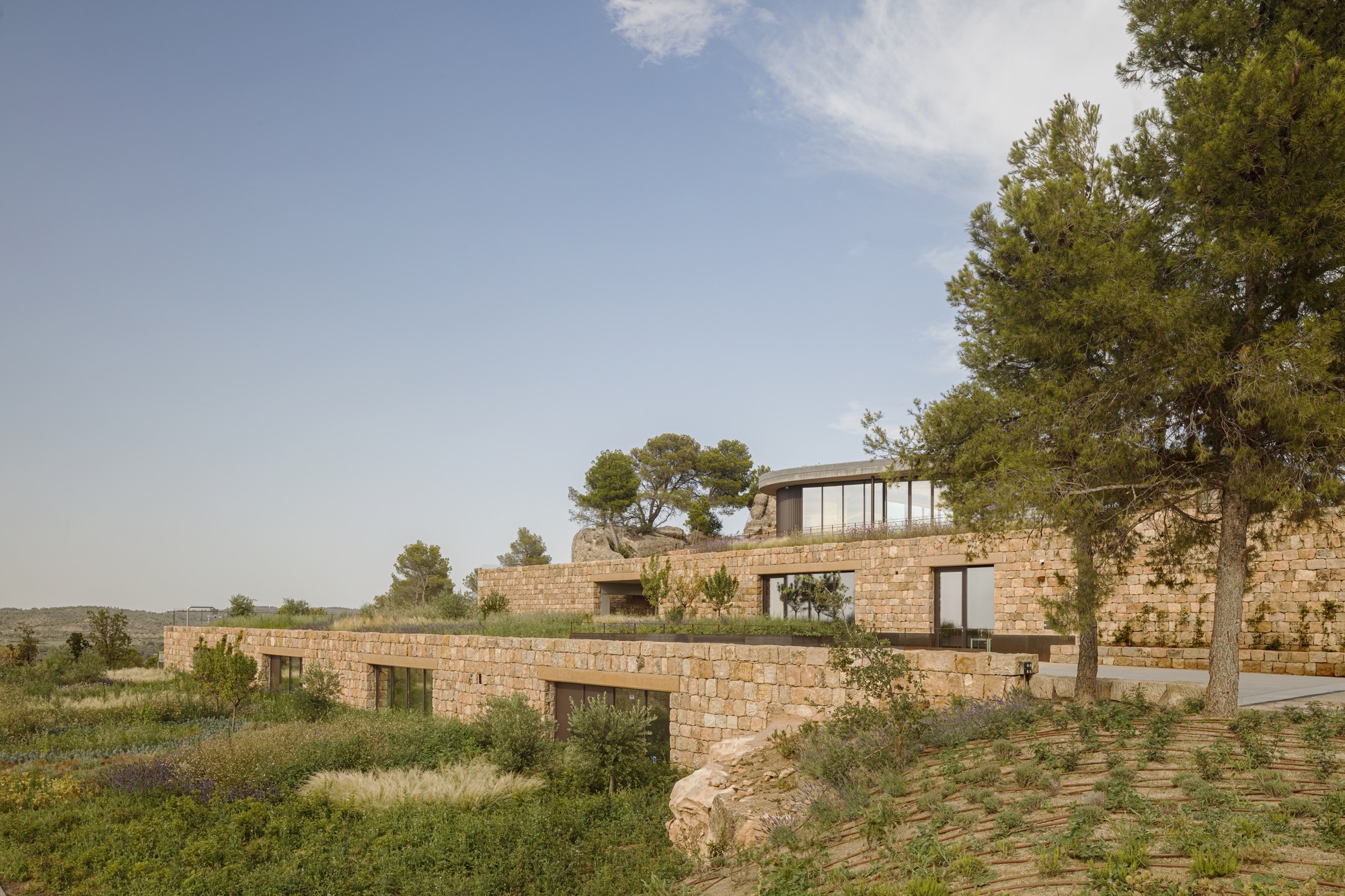 El Trull CV 油坊丨西班牙丨Alventosa Morell Arquitectes-17