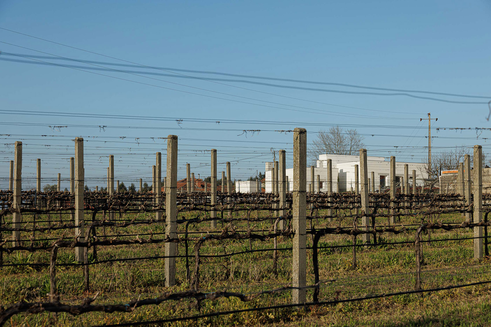 Pedrantil住宅丨葡萄牙丨Helder da Rocha Arquitectos-85