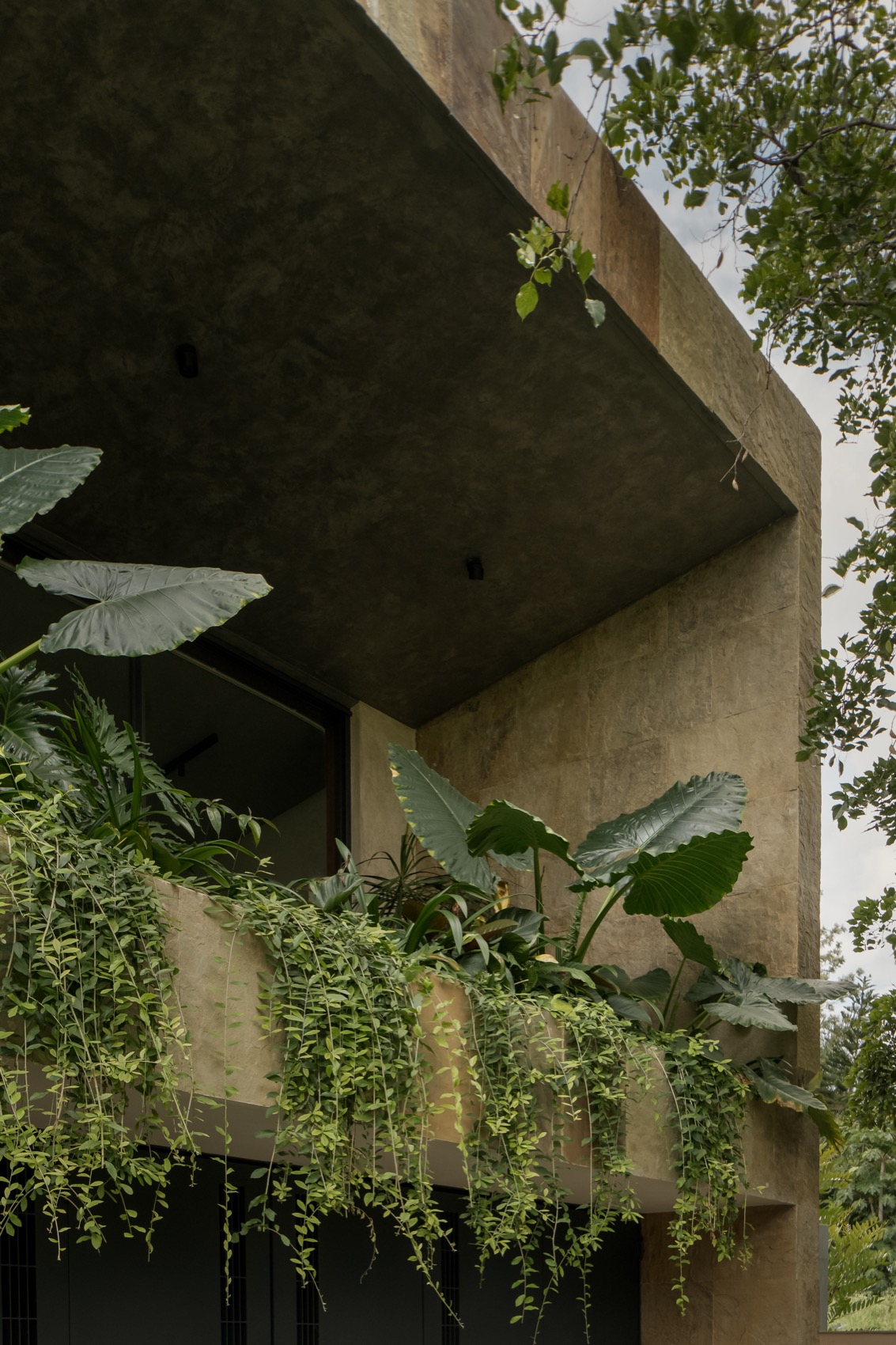 度假别墅丨印度班加罗尔丨4Brick Studio-44