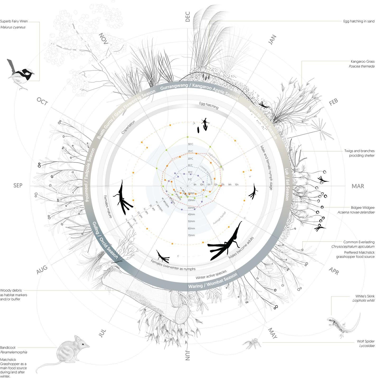 《蟋蟀之歌》丨法国尼斯丨墨尔本大学城市生态与设计实验室-27