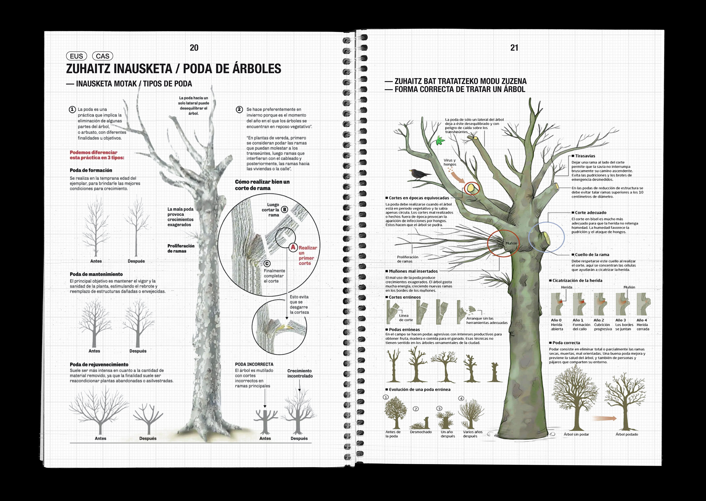 BOSQUE AUTÓCTONO 实地指南-16