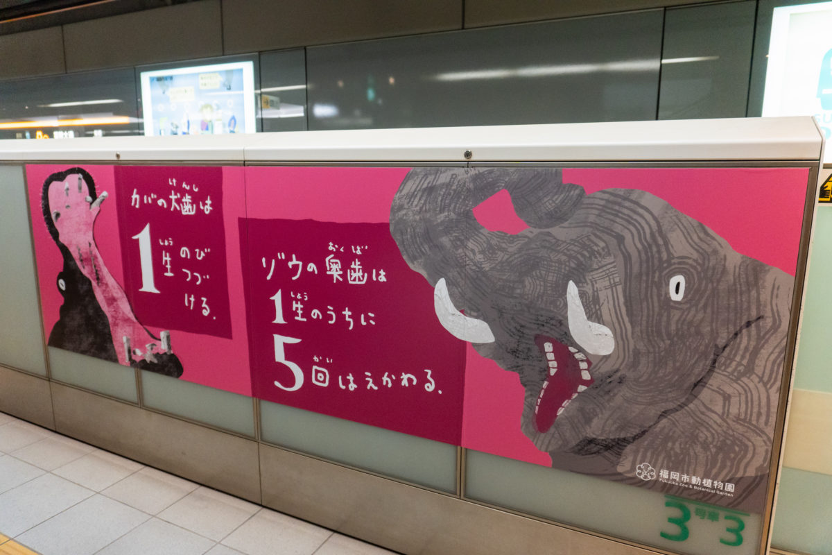 薬院大通駅  福岡市動植物園特別装飾丨anno lab-9