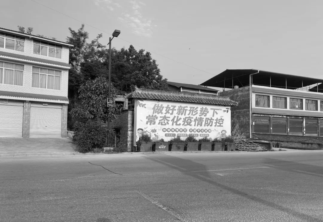 美丽宜居示范乡镇“花乡雍溪”提升规划设计丨中国重庆丨重庆道合园林景观规划设计有限公司-54