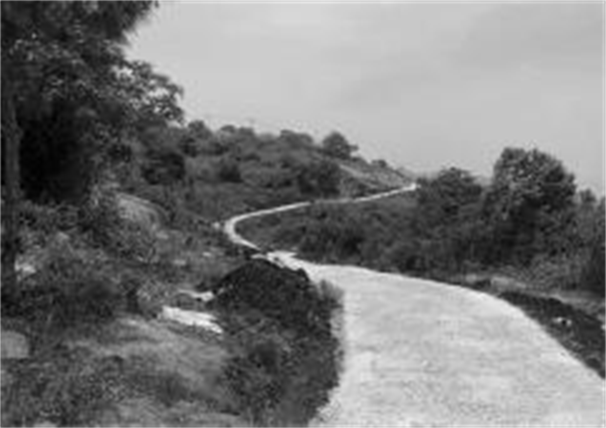 三沙光影小镇休闲步道二期丨中国宁德丨上海川木景观设计有限公司-15