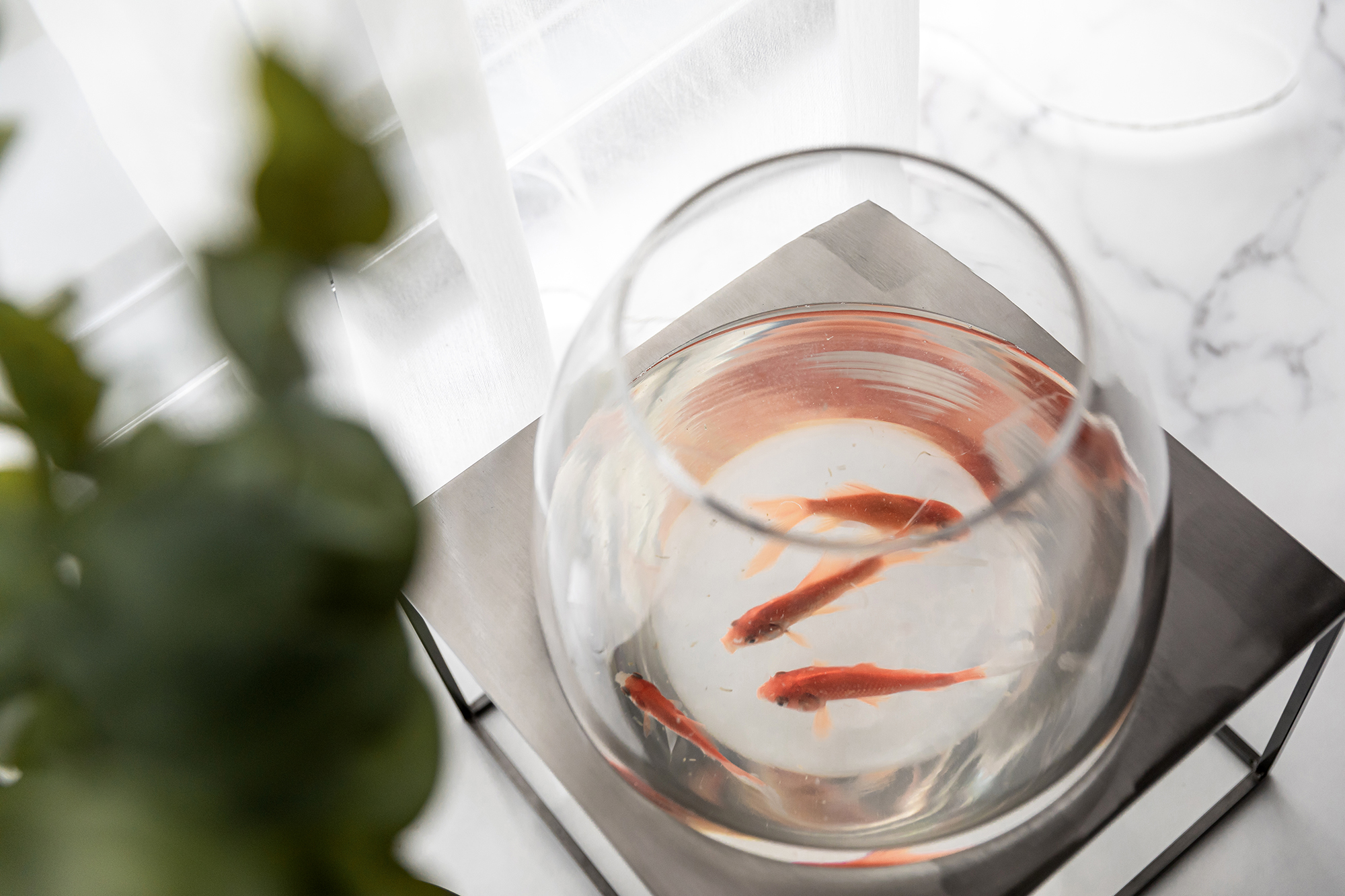 Greentown · Magnificent Residence Show Flat | QIRAN DESIGN GROUP-46