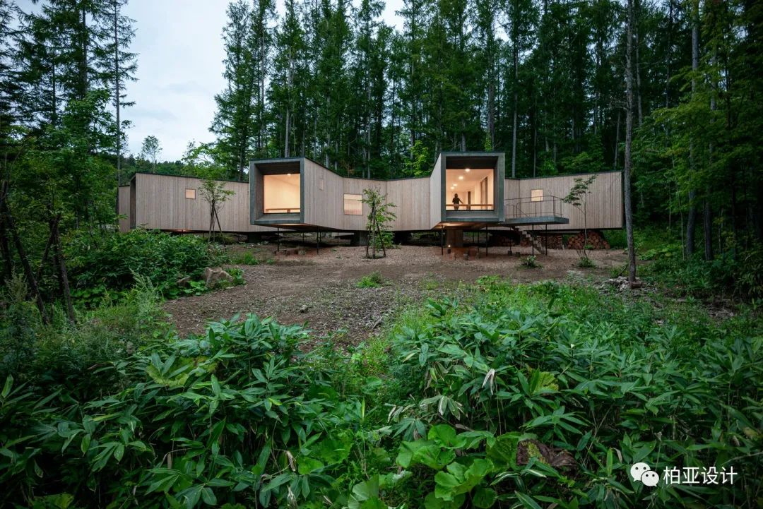 自然之美 | 全球三地森林小屋设计欣赏-9