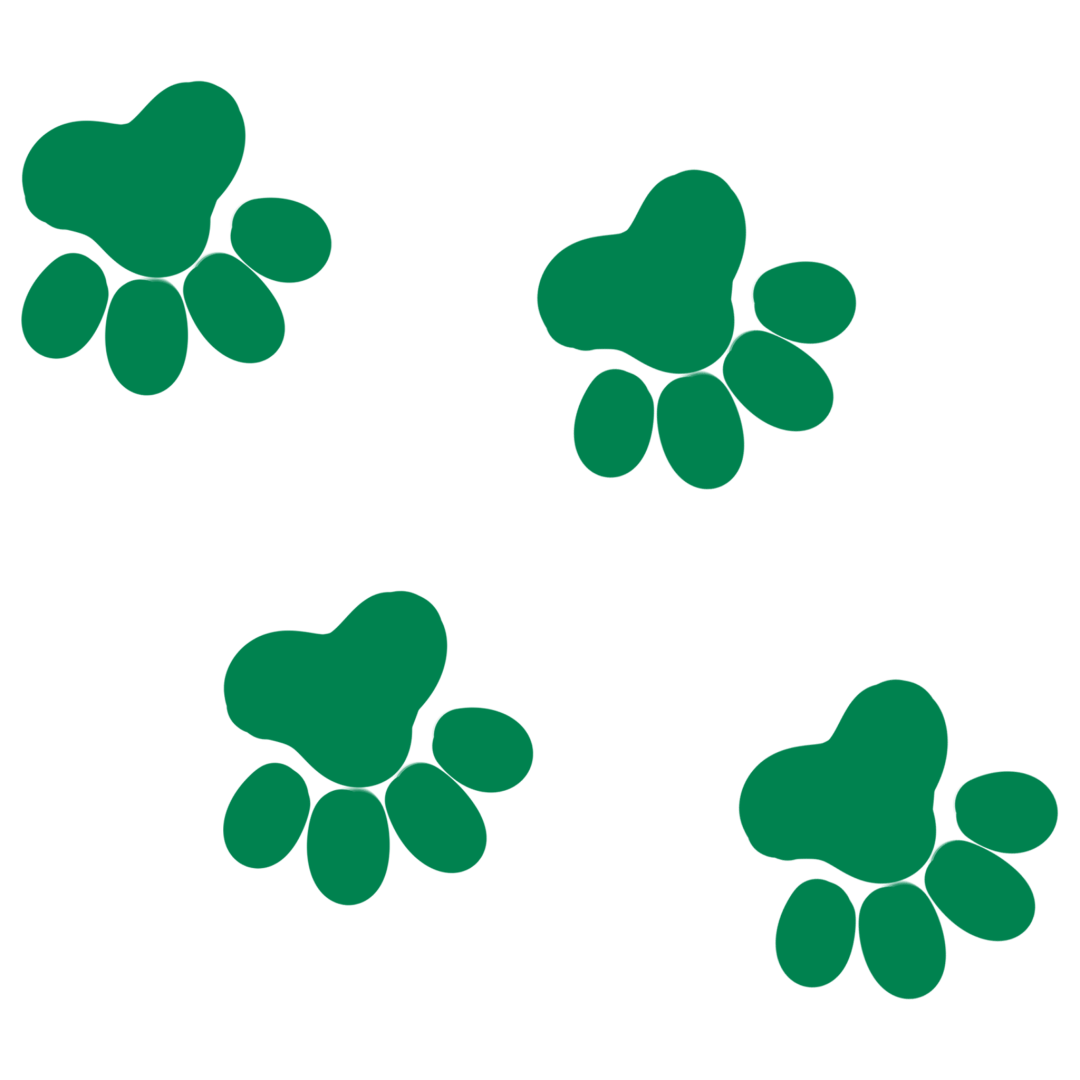 急急脚咖啡公司宠物友好主题店丨中国广州丨5+2.studio 设计事务所-54