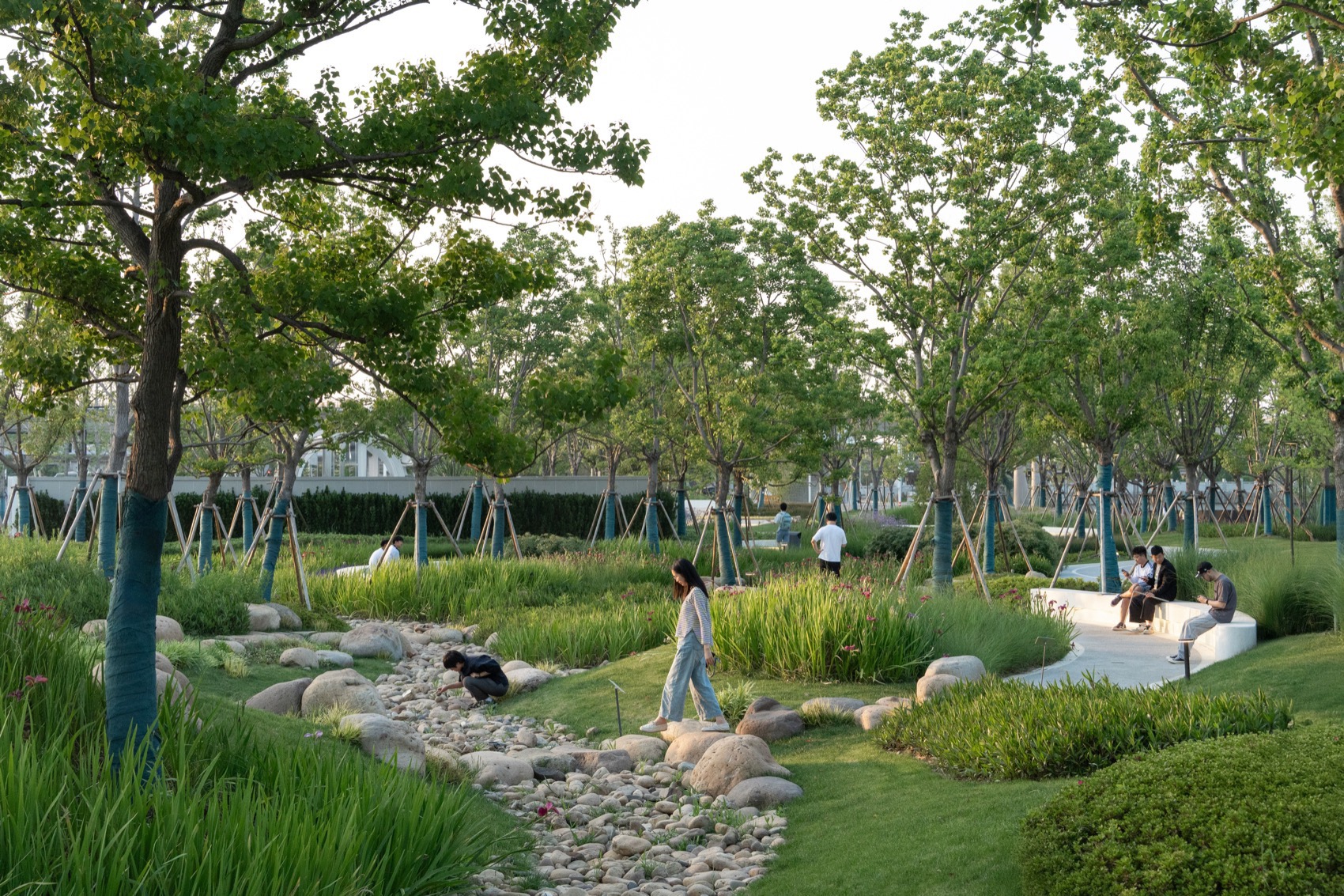 上海金泽镇培雅南路东侧绿地景观设计丨中国上海丨上海联创设计集团股份有限公司景观设计部-68