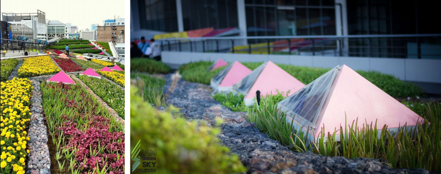 暹罗绿色天空-29