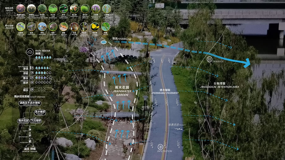 徐州顺堤河滨水公园丨中国徐州-77