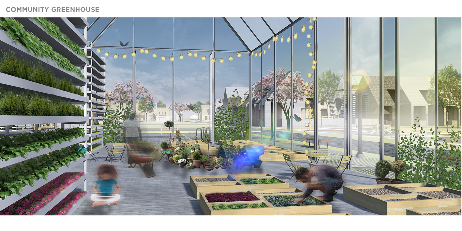 荷兰圩田模式 · 郊区生活与生物农场社区的弹性共生-11