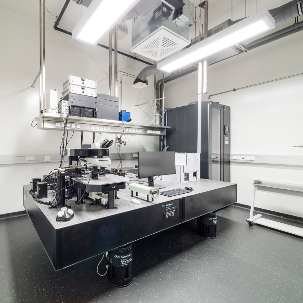 黑 façade 的集成感染疾病研究中心(CIID)-13