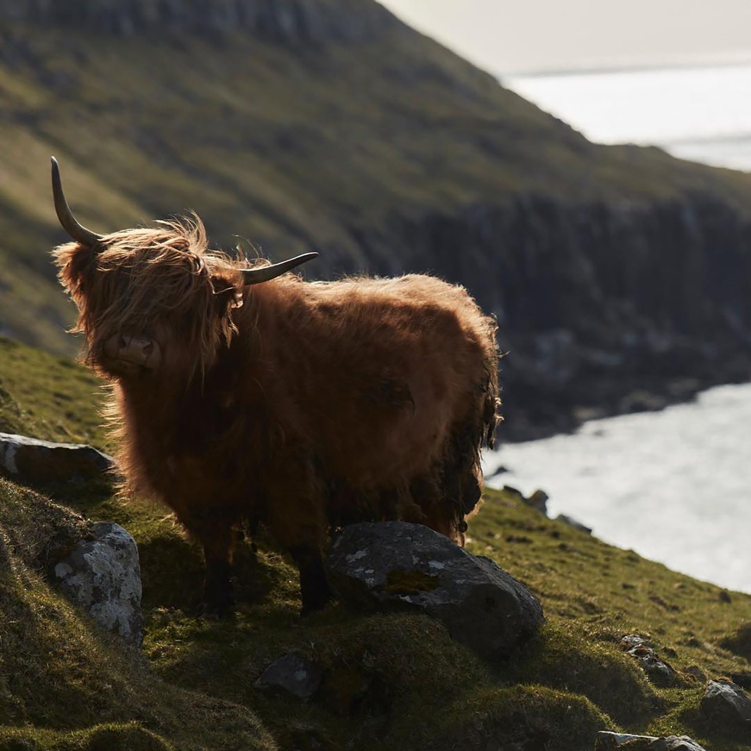 KOKS 餐厅丨Poul Andrias Ziska-58