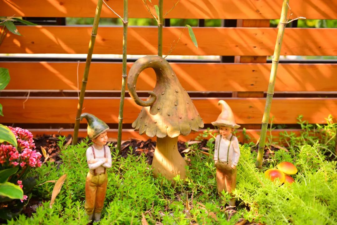 打造独特私家花园，体验简约宁静之美-35