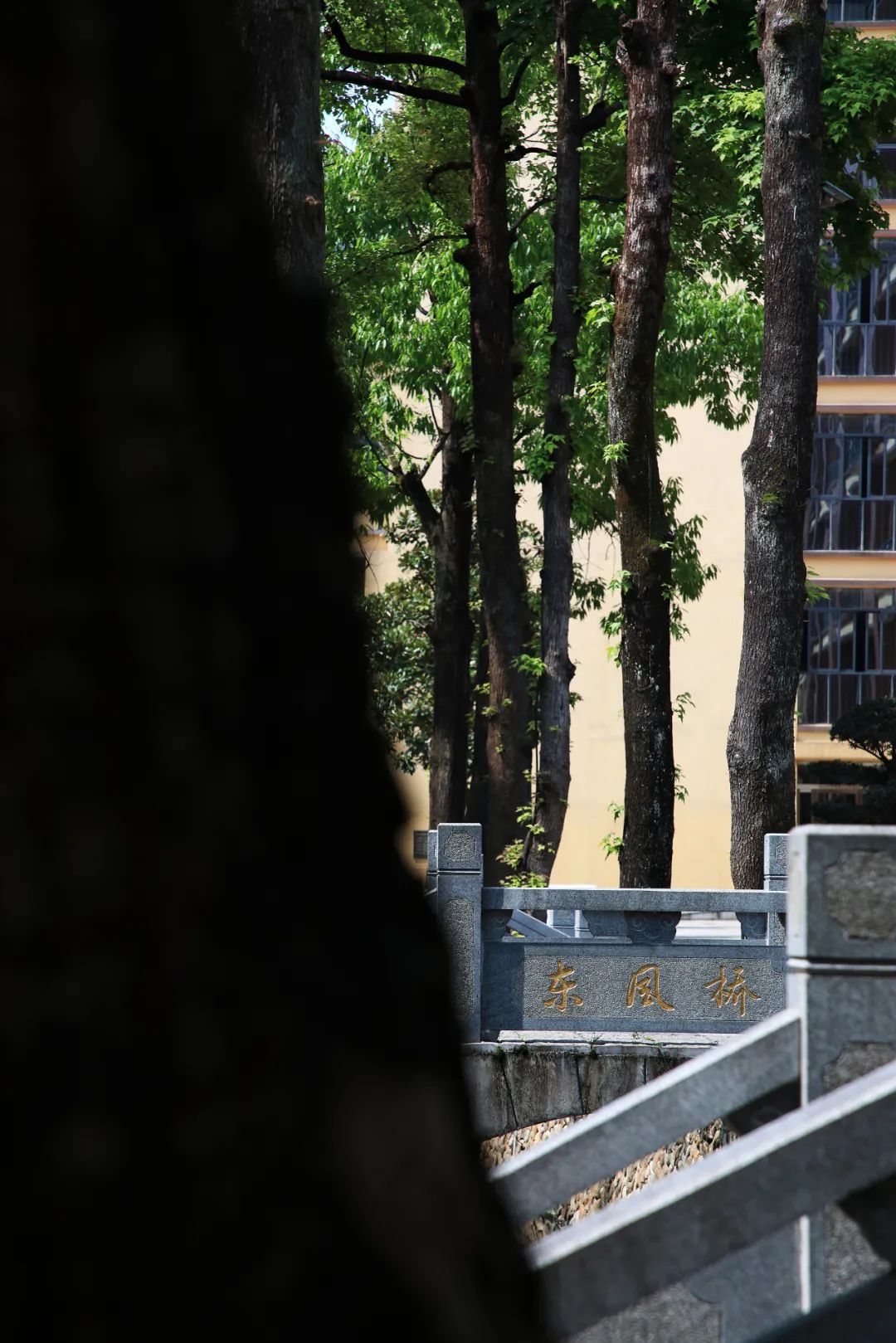 浙江省云和中学校史馆改造工程丨中国丽水丨上海丰间建筑设计咨询有限公司-91