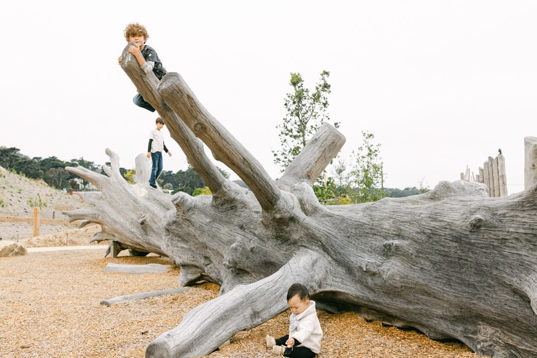 无忧之域 · Earthscape丨美国-31