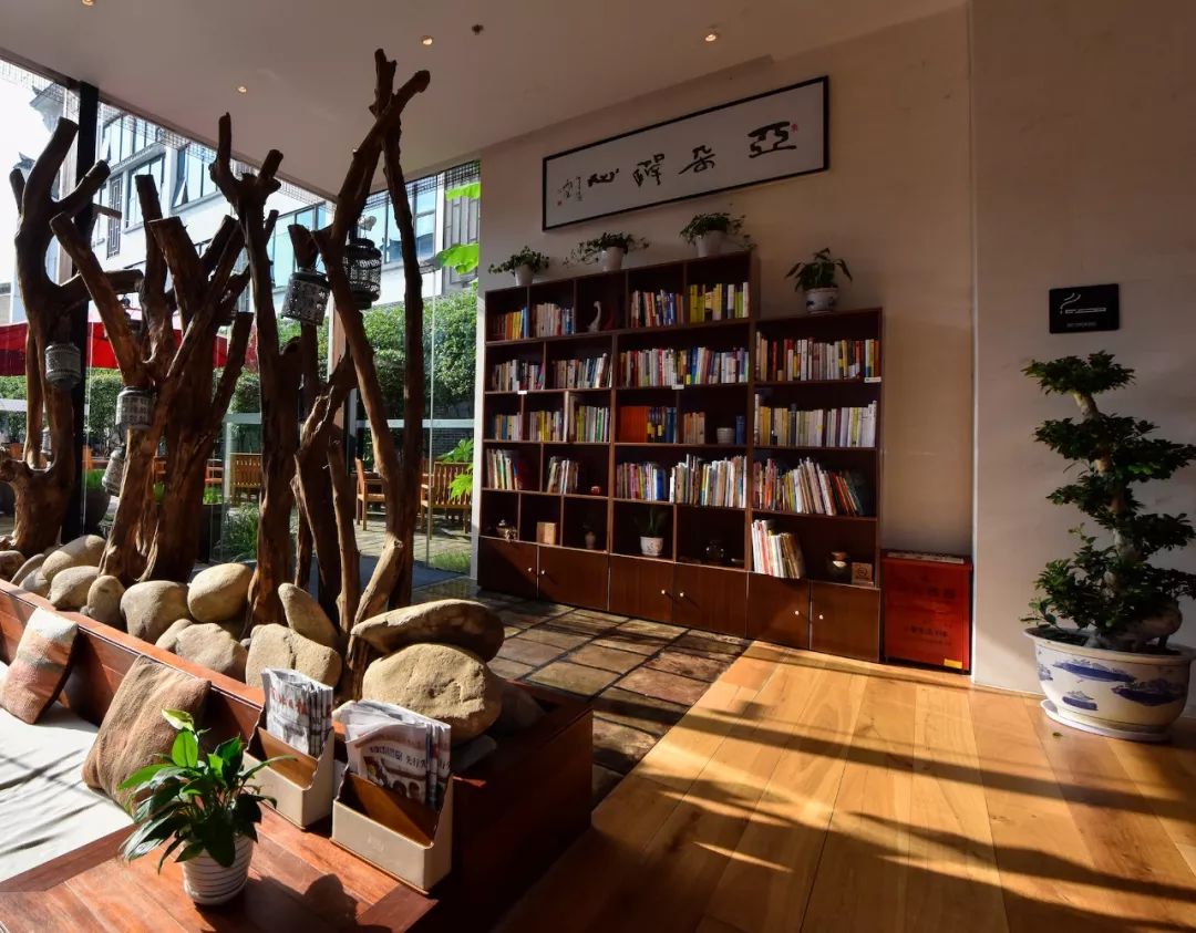 不期而遇的远方 | 青松掩映 茶苑芬芳-36