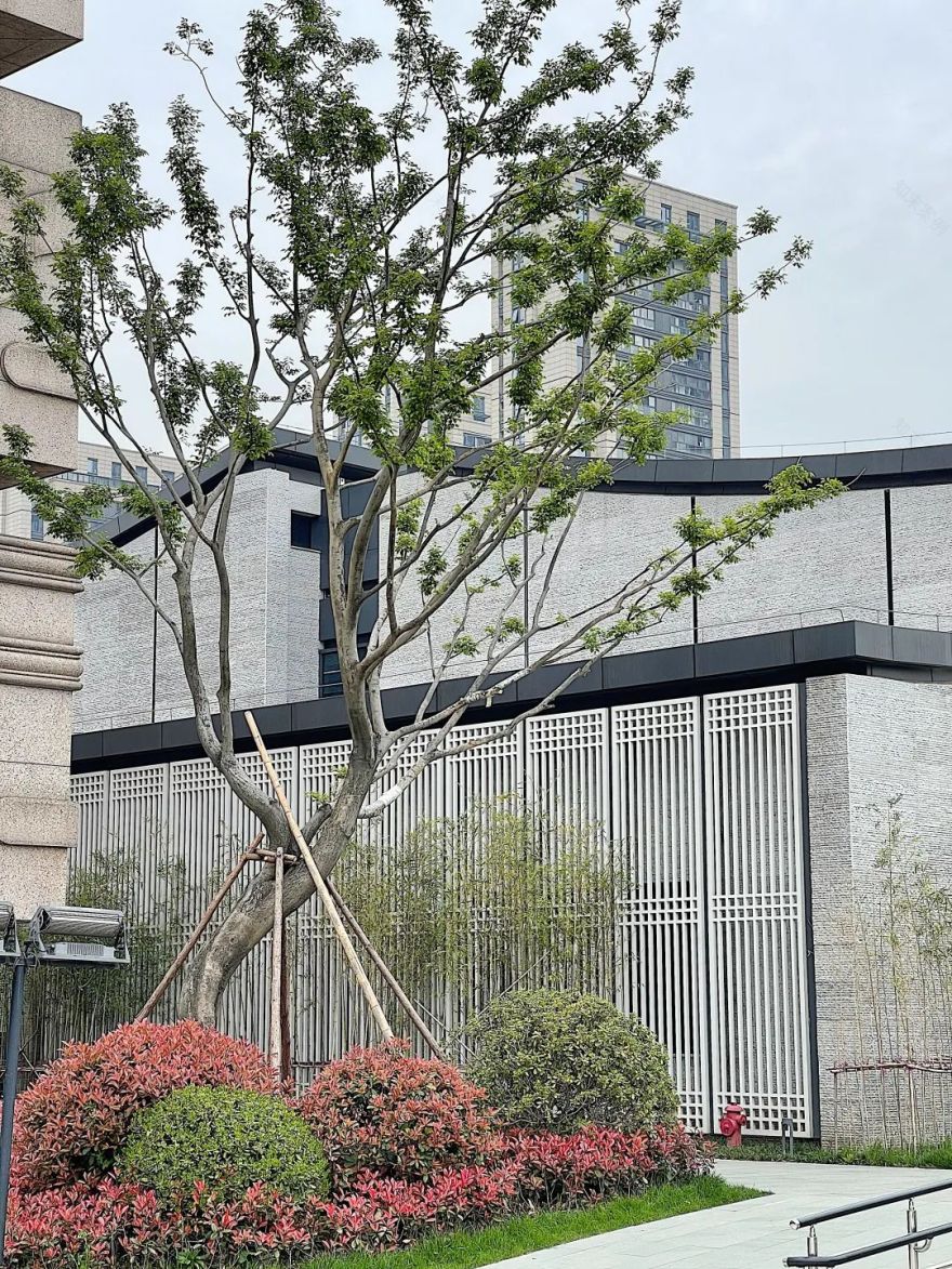 中国江南水乡文化博物馆(杭州市临平博物馆)丨中国杭州丨杭州滨江长河街道江虹路 735 号 1 幢-25