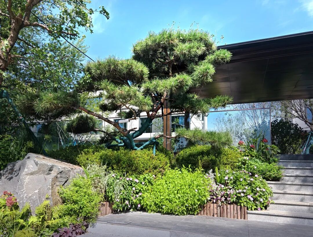 沈阳风景园林股份有限公司施工作品展I越秀·沈阳岄湖郡七期项目园建绿化工程-51