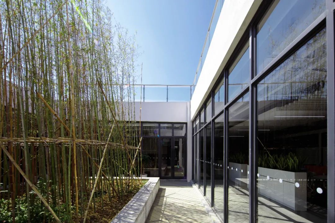 彩装色界 · 美源化妆品公司办公及研发总部丨ZITO.DESIGN-69