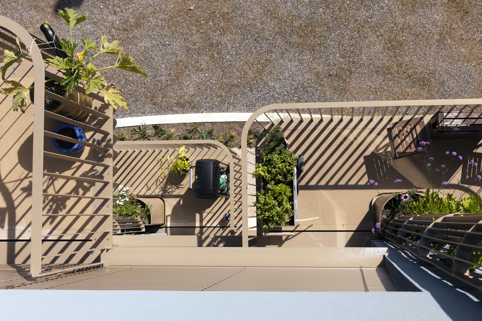 新林登花园大楼丨瑞士丨Volpatohatz-26