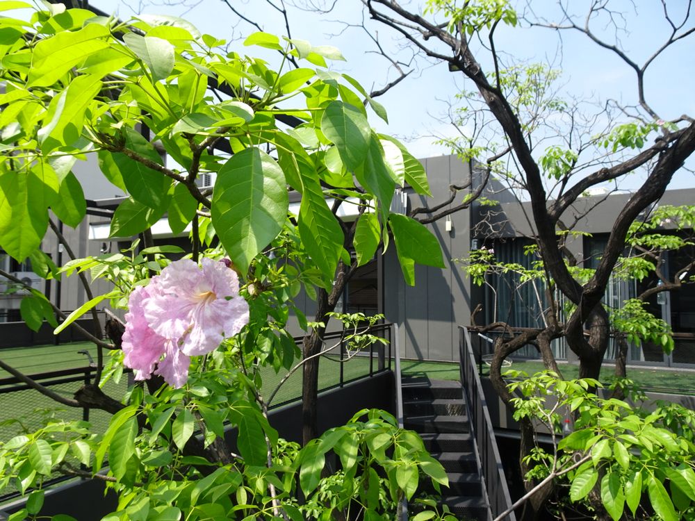 ナイイパ・アート・コンプレックス | タイ の建築【世界建築巡り】-53