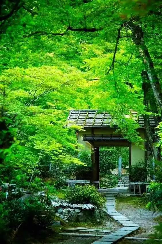 心灵庭园 | 打造美好人生的心灵空间-3