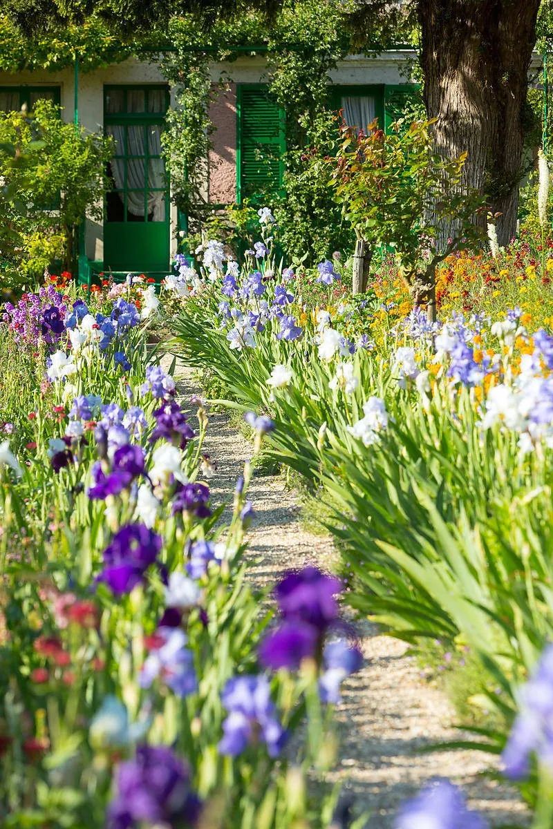 莫奈花园的室内设计灵感 | 自然与艺术的和谐交融-37
