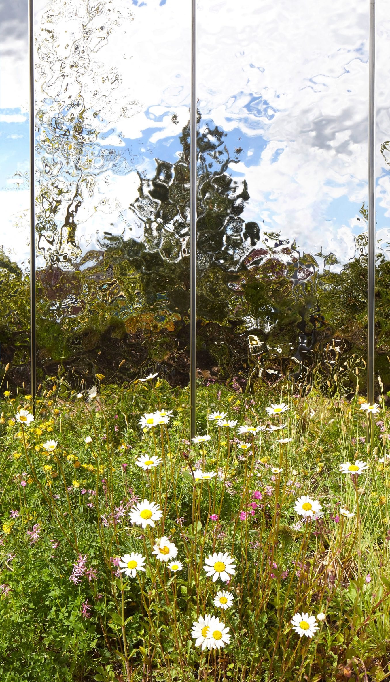 绿意盎然的 Maggie's Southampton 中心,花园与室内空间交融-20