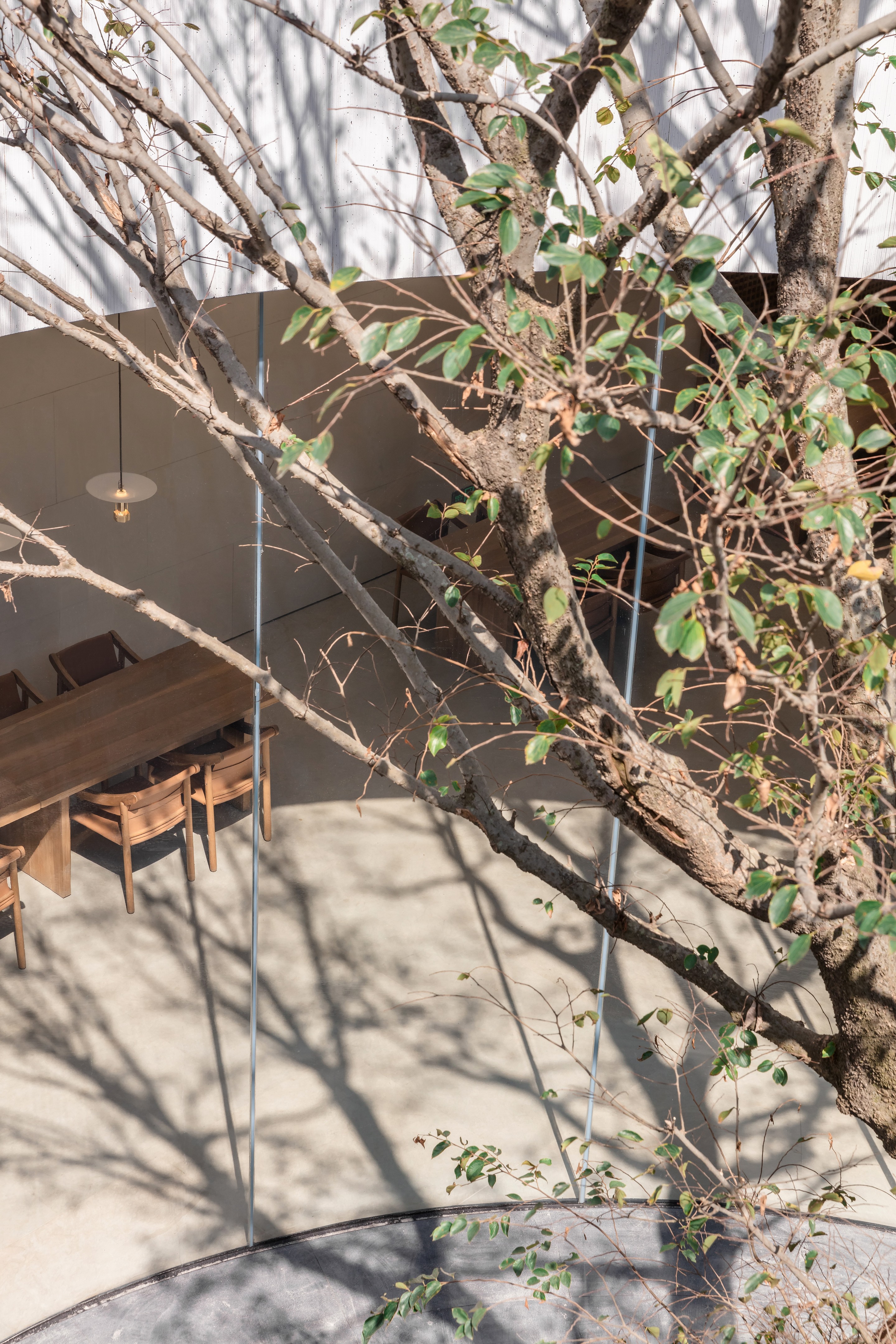 湖畔茶香,寻觅世外桃源-51