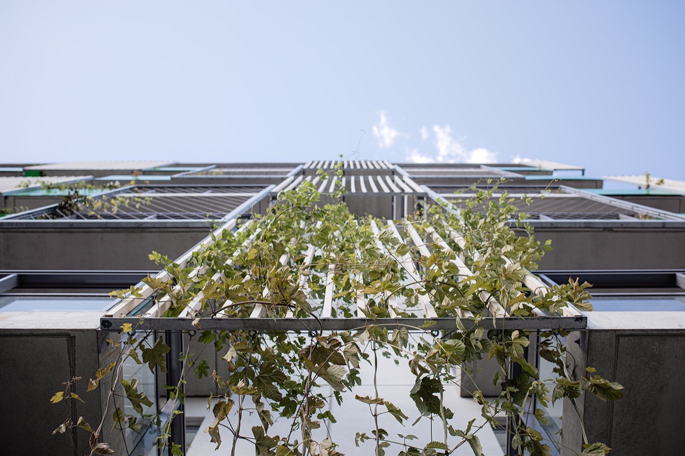 芬兰赫尔辛基绿色住宅区的生态设计探索-42