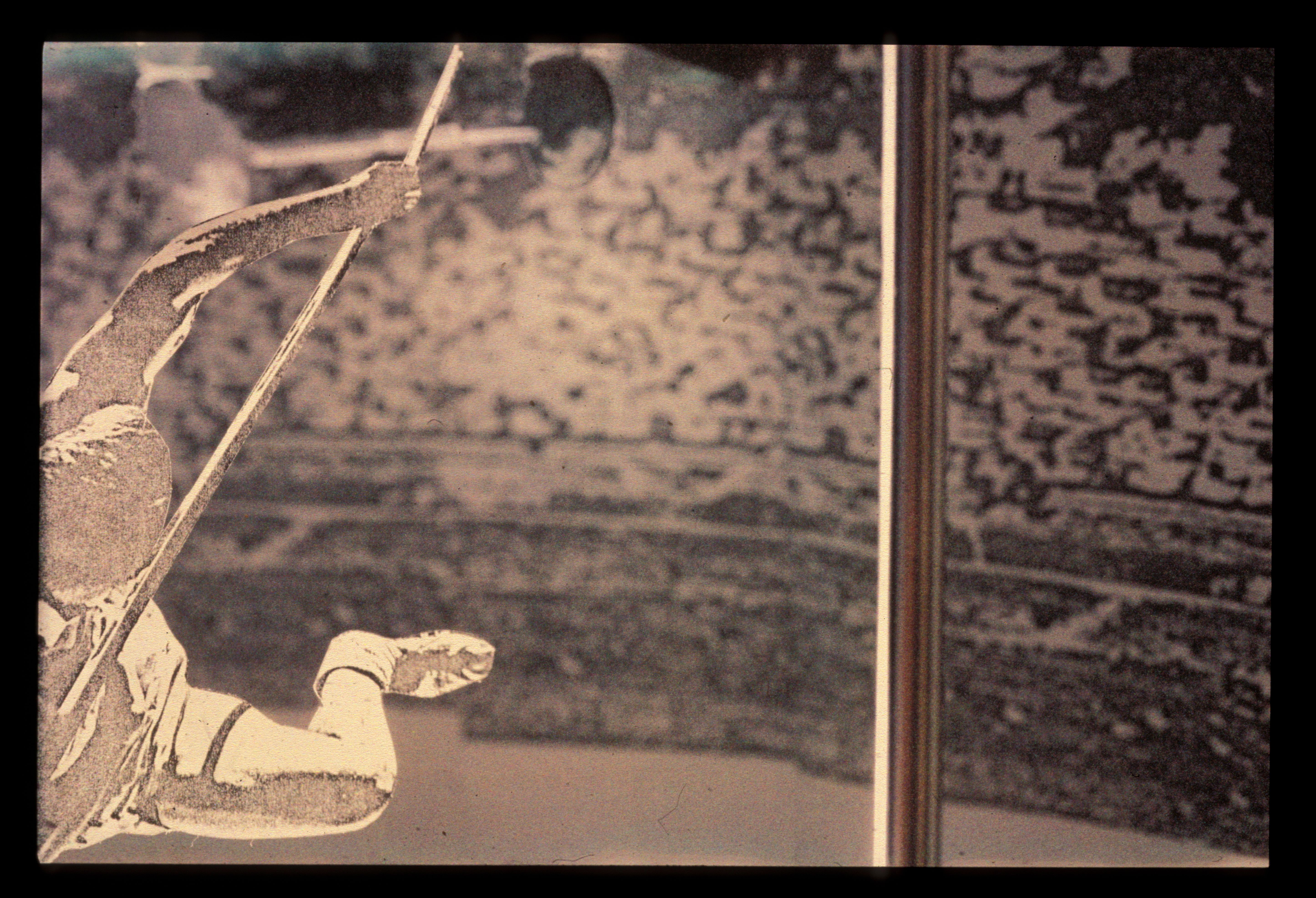 帕莱斯特拉之家-19