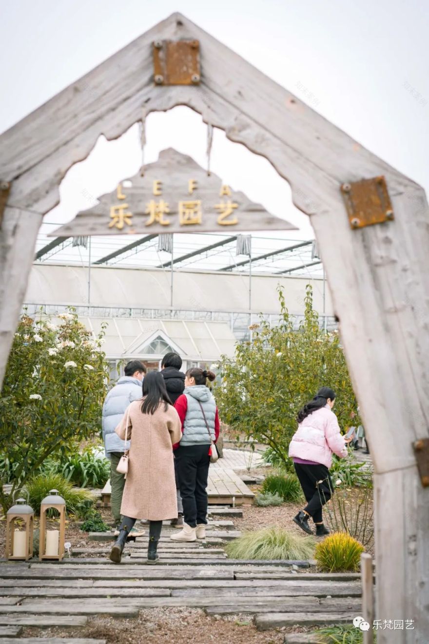 乐梵花园冬日游园会丨乐梵园艺-16