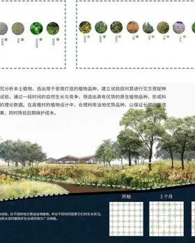 四川德阳高槐村乡村振兴项目 | 生态修复与村民共建的典范