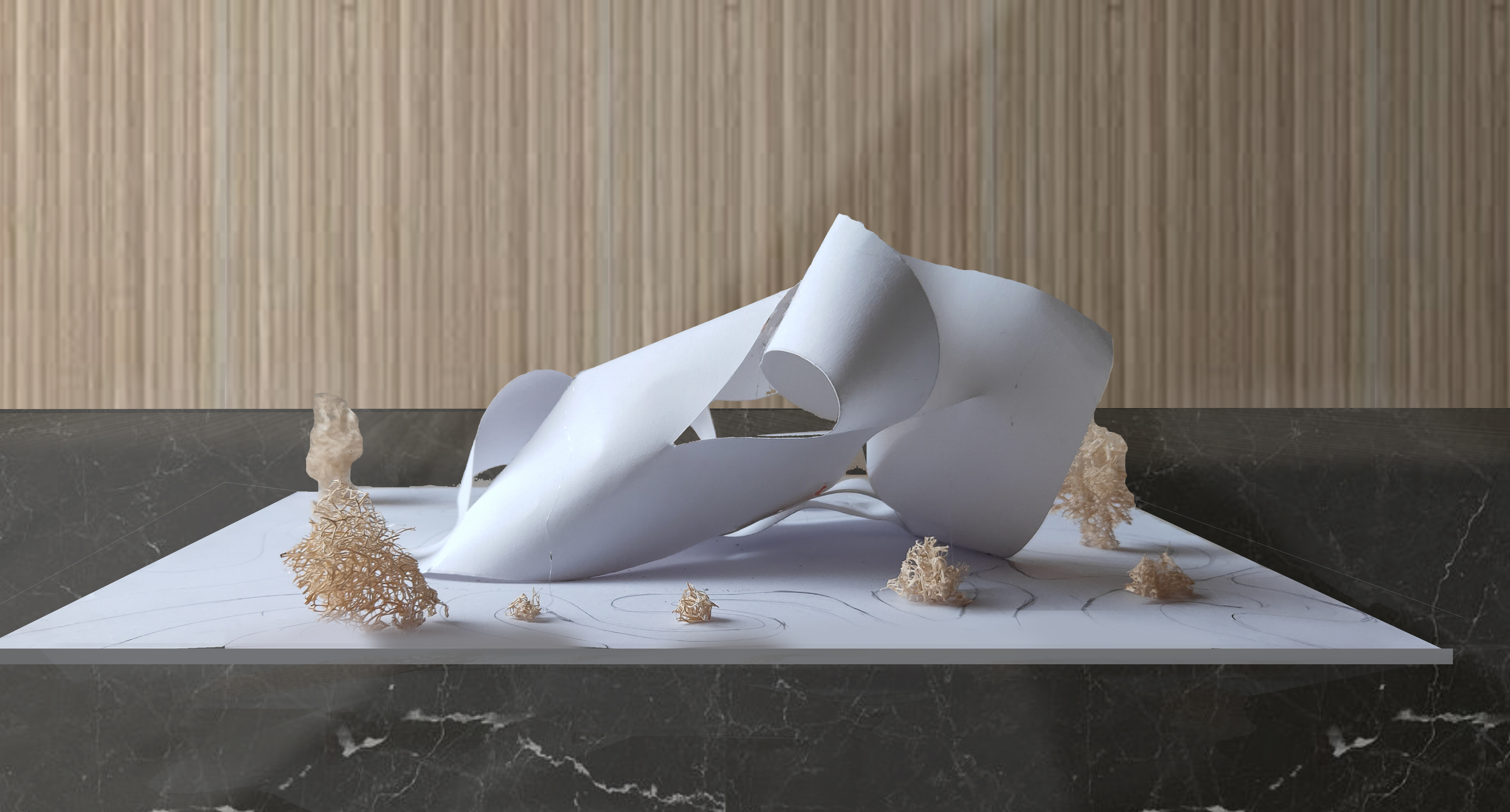 parametric experimental project-0