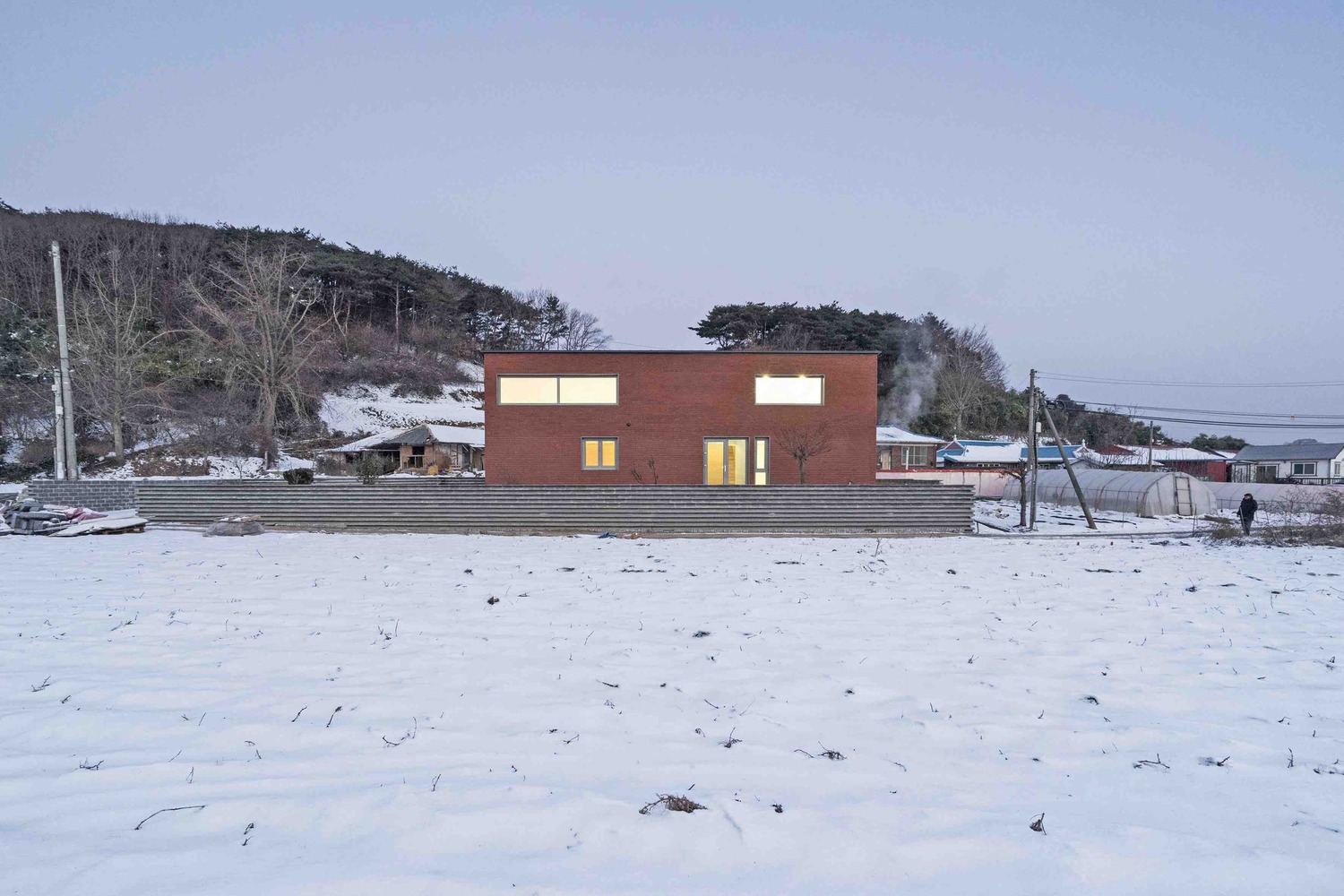 温暖阳光照亮受伤主人生活-44